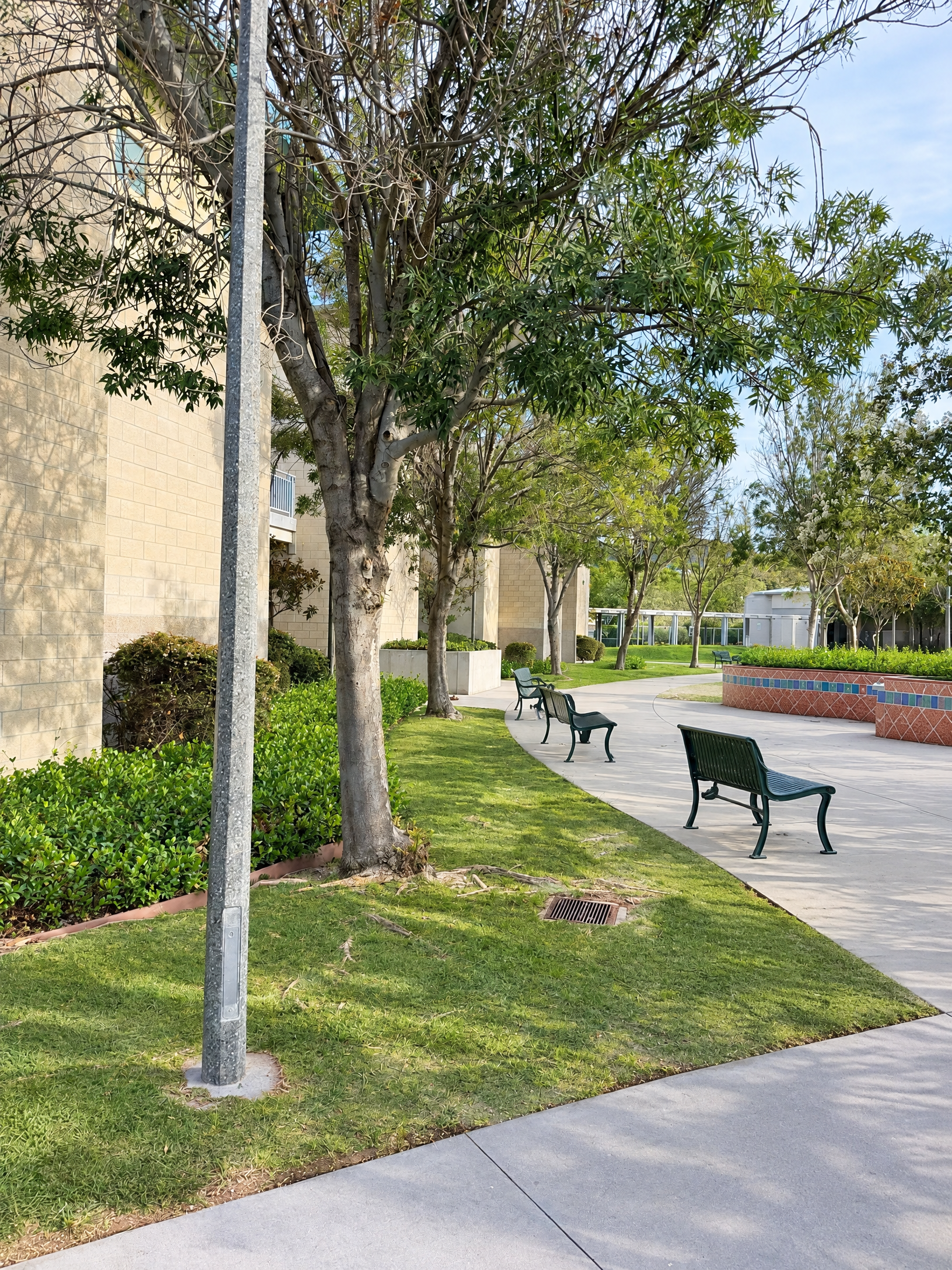 Quiet Oak Valley school campus path and courtyard