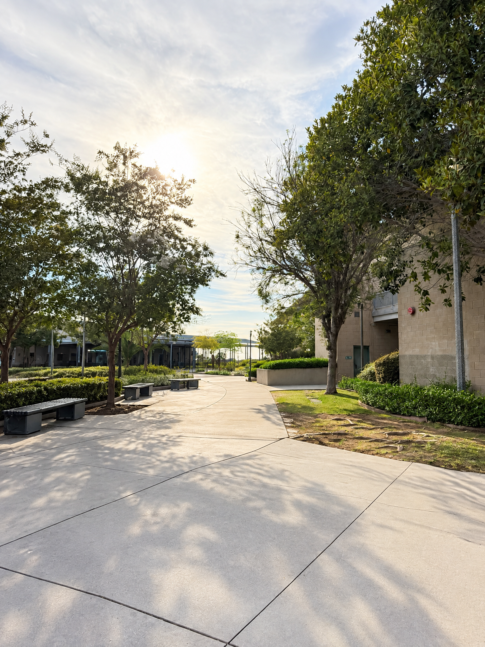 Oak Valley school courtyard at sunset
